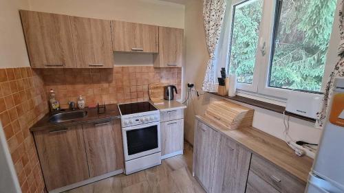 Cottage right next to the forest with a beautiful view of the valley in Jetrichovice U Decina