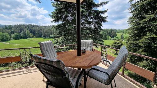 Cottage right next to the forest with a beautiful view of the valley in Jetrichovice U Decina