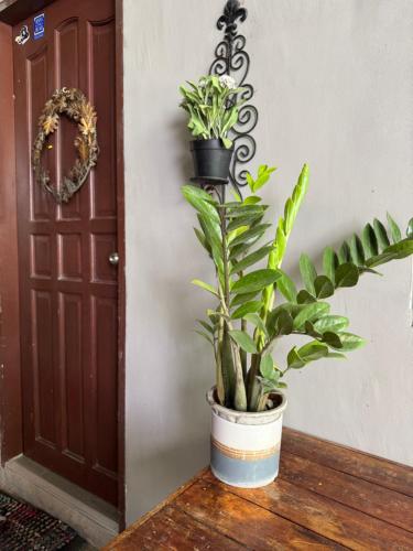 TI-RO's RENTALS in Tabogon