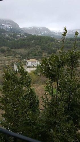 casa malferit in 阿爾科萊哈