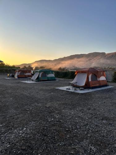 Tent Camping at Greenland Farm in Dhaid