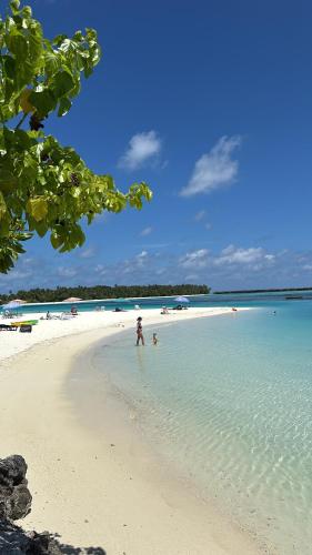 Turtle Hive - Velaa Vani, Dhiffushi (photo 4)
