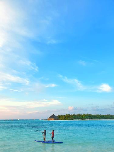 Turtle Hive - Velaa Vani, Dhiffushi (photo 10)