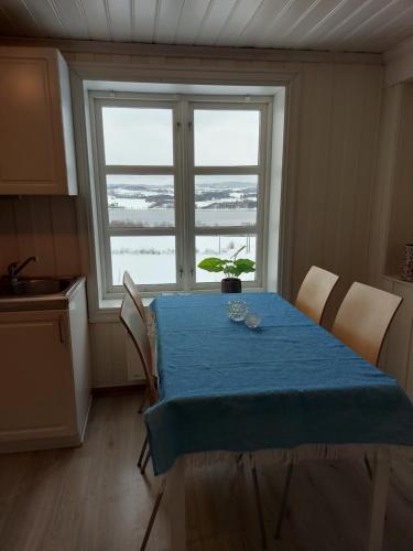 House with seaview to the lake Mjøsa, 8 min to town center Gjøvik in Ringsaker