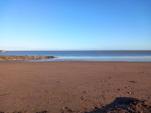 The Beach Hotel - image 12