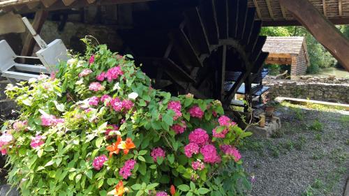 Gîte de la Saussaie - Au four & au moulin (Gite de la Saussaie - Au four & au moulin) in 蒙烏杜