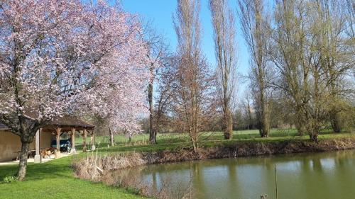 景觀, Gîte de la Saussaie - Au four & au moulin (Gite de la Saussaie - Au four & au moulin) in 蒙烏杜