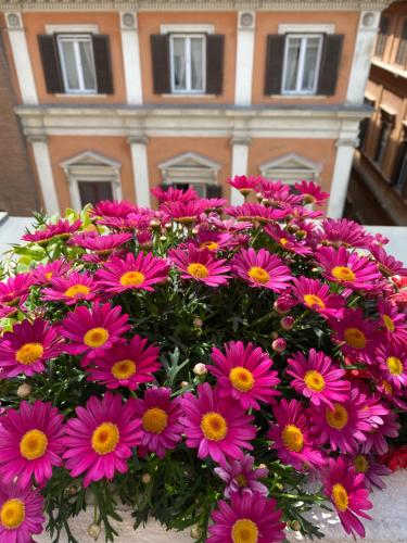 Terrazza Marco Antonio Luxury Suite - main image