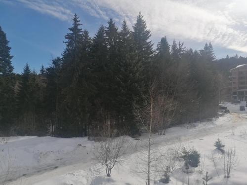 ИН Хоум Комфорт, Borovets (foto 8)