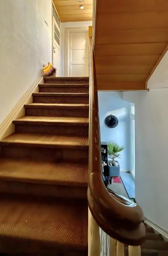 A szálláshely kívülről, Ferienwohnung Ate´s kleine Welt in Brilon