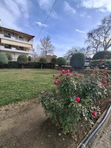 Kert, Aggelos Guest House in Orchomenos