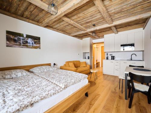 Studio Corso-1 by Interhome, Harrachov