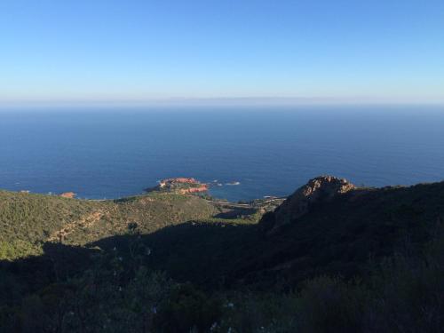 Amazing View Port Golfe-Juan - image 11