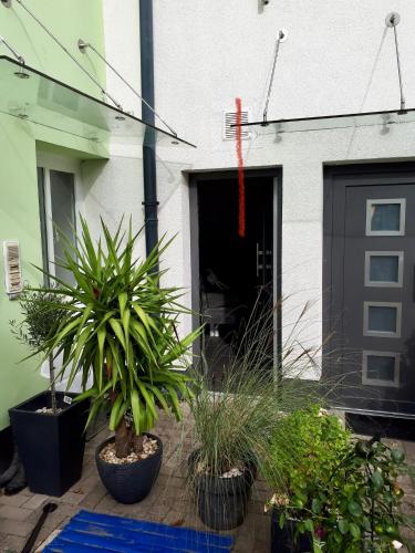 Patio 4, Bremen (photo 6)