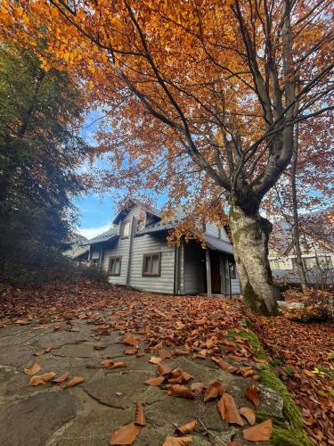 Gray House, Pilipets (foto 8)