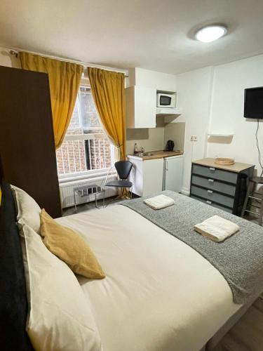 Impeccable studio Apartment in South Kensington - image 8