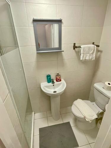 Impeccable studio Apartment in South Kensington - image 11