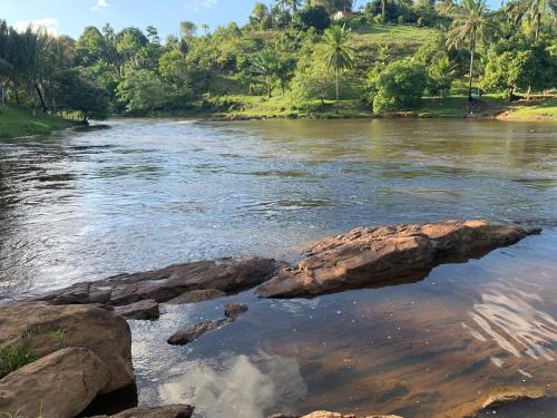 Casinha da Floresta in Nilo Peçanha
