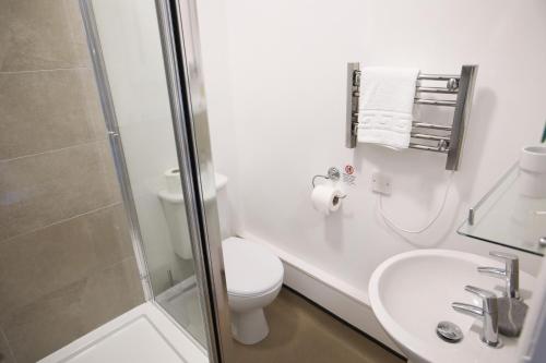 Glyn Valley Hotel - image 13