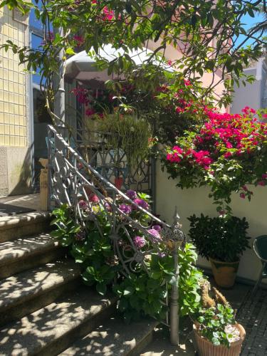 Vila Camélia, Porto