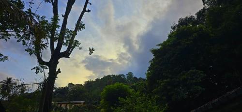 Ceylon Shine, Kandy (fotografie 6)