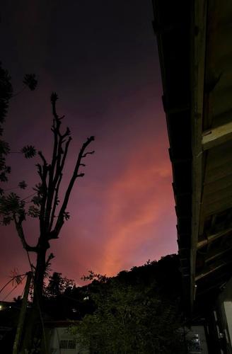 Ceylon Shine, Kandy (fotografie 8)