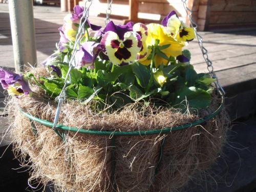 RNK Peebu Kämping RNK Peebu Kämping