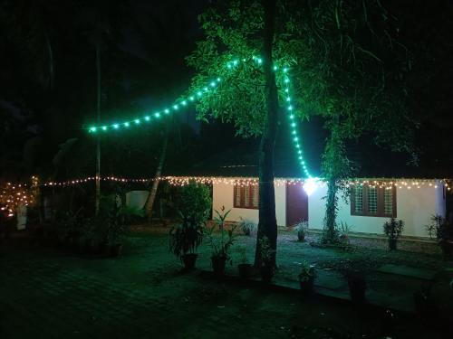 Bougainvilla Homestay - image 3