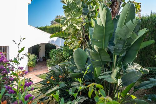 Villa in Marbella with golf views, Marbella (foto 9)