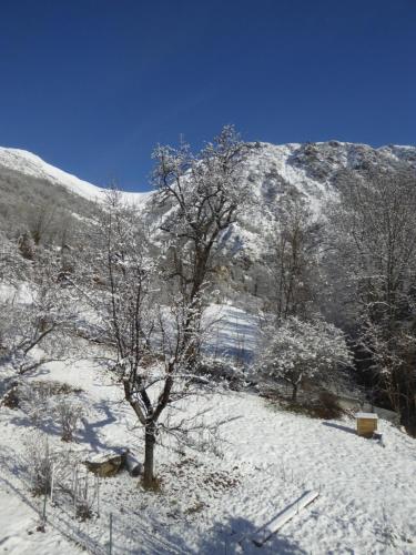 chambre d'hote calme au milieu d'un jardin au Freney d'oisans in Le Freney-d'Oisans