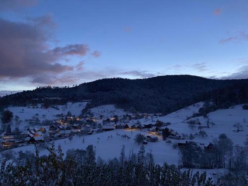 Apkārtne, Duplex Le Hêtre avec vue dégagée sur le village et les montagnes (Duplex Le Hetre avec vue degagee sur le village et les montagnes) in Breitenbach-Haut-Rhin