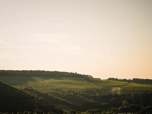 Weingut Marx - Rotes Haus