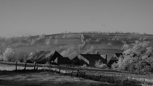 Apkārtne, Gîte de la pie-grièche (Gite de la pie-grieche) in Saint-Christophe-en-Brionnais