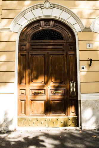 Daffodil in Roma San Pietro – Rome