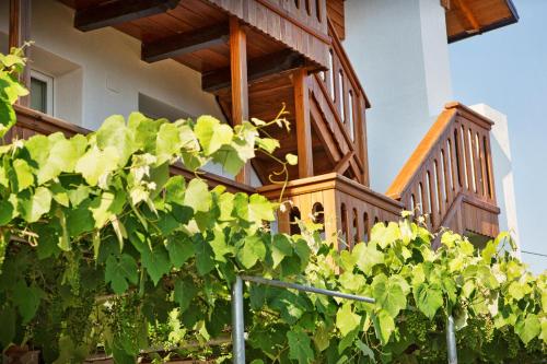 Albergo Diffuso "Col Gentile" Socchieve 3
