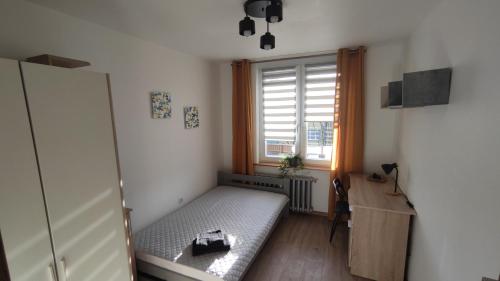 1 twin bed