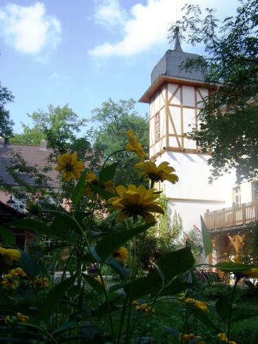 Turmvilla Bad Muskau
