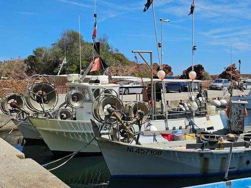 2 pièces en bord de mer avec piscine et jardin