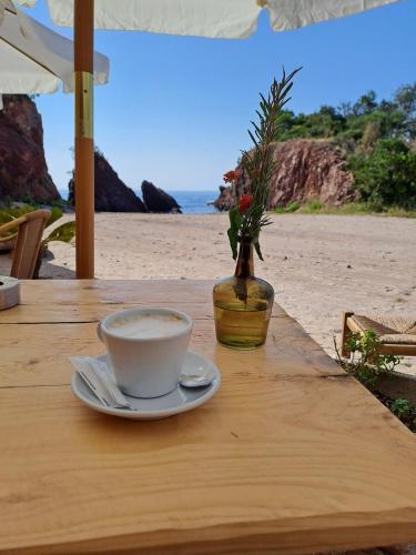 2 pièces en bord de mer avec piscine et jardin