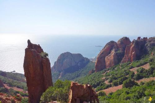 2 pièces en bord de mer avec piscine et jardin