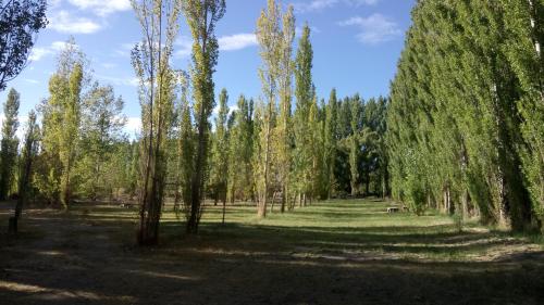 Dārzs, Cabañas Zorzal Rodeo (Cabanas Zorzal Rodeo) in Rodeo