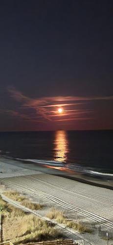 The Palace 504 in Myrtle Beach, USA