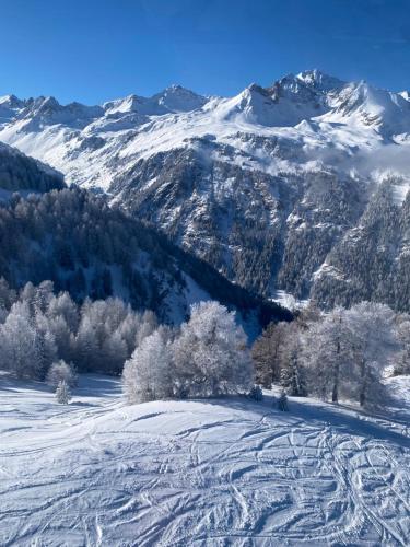 Chalet Jonquille - image 7