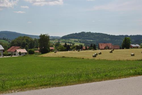 Bližnja okolica, FH-Petzi in Neuwotzmannsreut