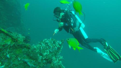 Ocean View Tulamben Dive & Resort