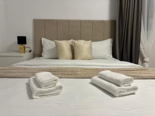Dream - Hotel Experience with ExtraSpace, QuietArea, Balcony, FreeParking, Bistriţa (Foto 8)