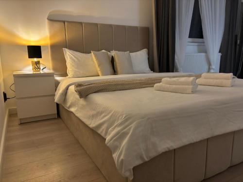 Dream - Hotel Experience with ExtraSpace, QuietArea, Balcony, FreeParking, Bistriţa (Foto 5)