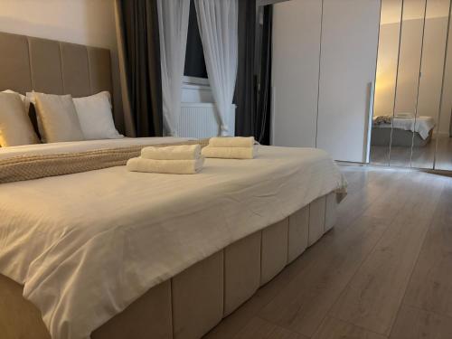 Dream - Hotel Experience with ExtraSpace, QuietArea, Balcony, FreeParking, Bistriţa (Foto 11)
