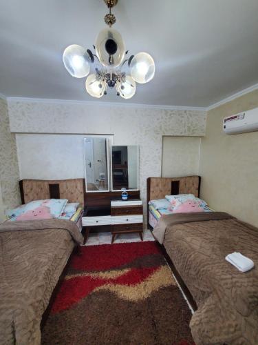 Hidden Gem Large & Cozy Stay Hidden Gem Large & Cozy Stay