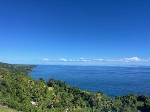 JOULOUKA in Trois-Rivieres